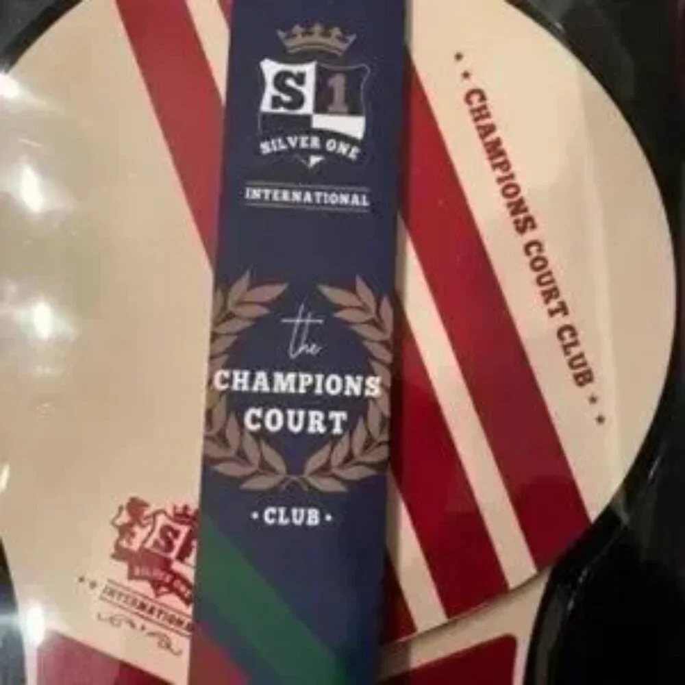 Silver International paddle ball